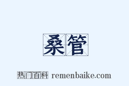 桑管是什么意思的图片